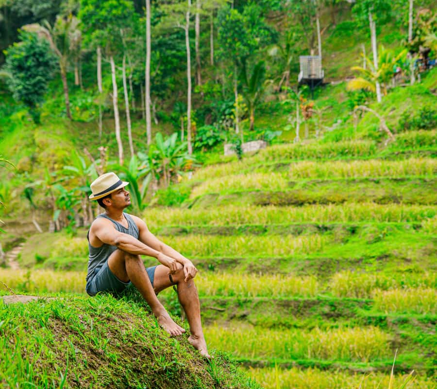 Bali: Ubud Culture Purification, Jungle Swing Tour - Value check: why this tour can make sense at $47