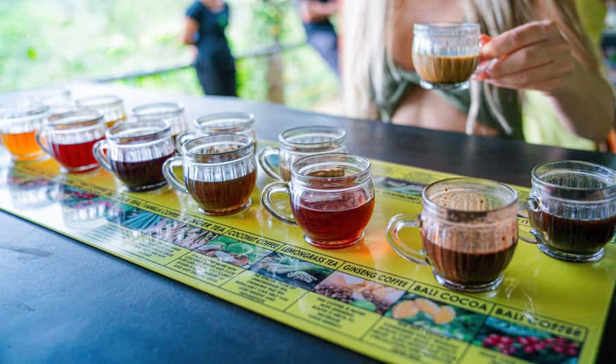 Bali: Ubud Culture Purification, Jungle Swing Tour - The practical stuff that makes the day smoother