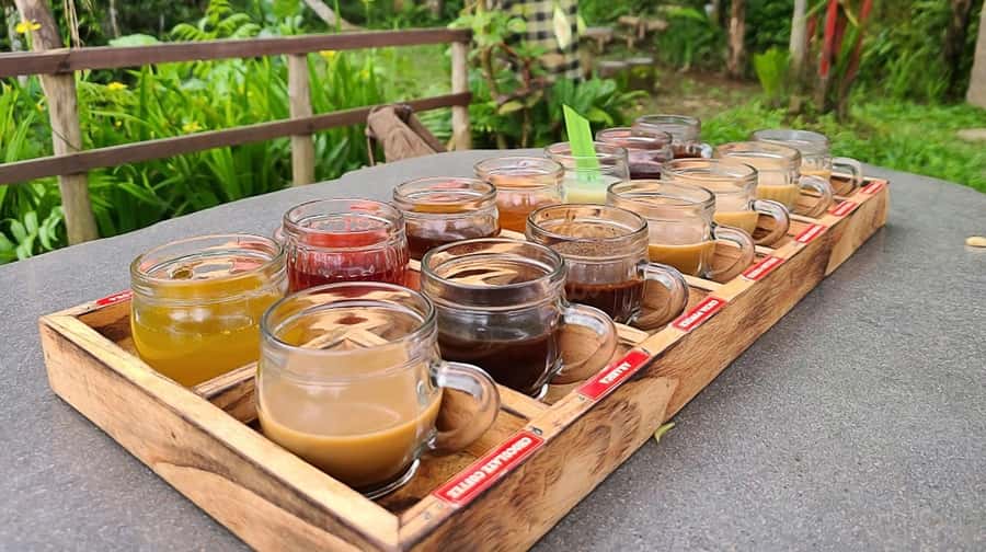 Bali: Ubud Day Tour with Swing and Zipline - Price and value: $30 is the tour shell, not the full adventure