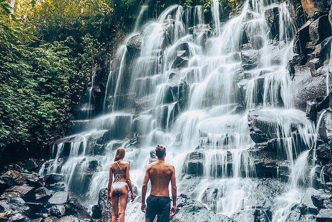 Bali: Ubud Highlights Tour with Private Guide and Transfers - Tirta Empul Temple: The Balinese Water Temple People Remember