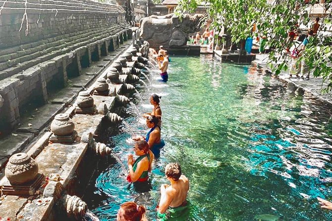 Bali: Ubud Highlights Tour with Private Guide and Transfers - Getting To Each Stop: Private Transfers, AC Comfort, and Timing