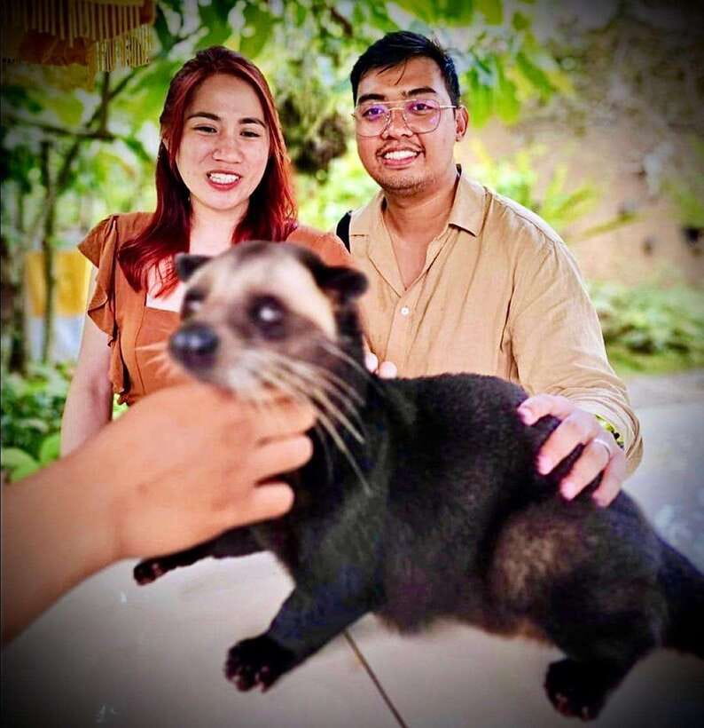 Bali: Ubud Monkey Forest, Coffee Plantation, and Market Tour - Tegenungan Waterfall, plus a Holy Spring cleansing stop