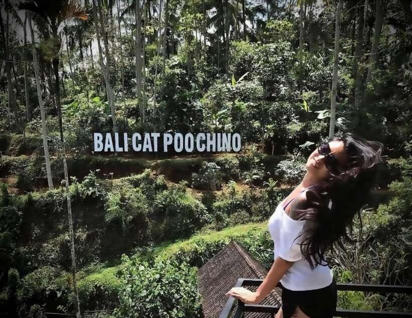 Bali: Ubud Monkey Forest, Coffee Plantation, and Market Tour - Should you book this Ubud Monkey Forest, Coffee Plantation, and Market Tour?
