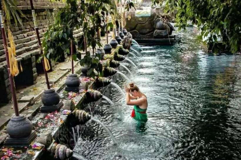 Bali: Ubud Monkey Forest, Waterfall, and Rice Terrace Tour - Key highlights to look for