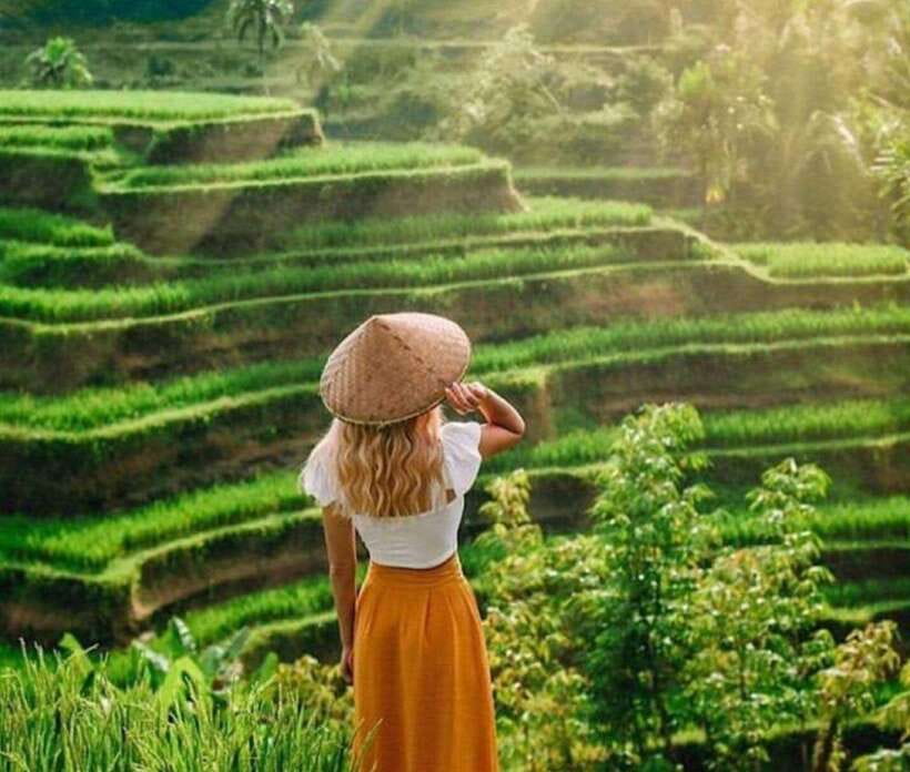 Bali: Ubud Monkey Forest, Waterfall, and Rice Terrace Tour - Practical timing tips for a full-day Ubud plan