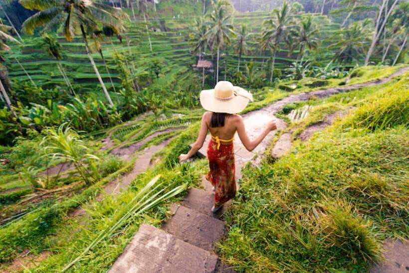 Bali: Ubud Monkey Forest, Waterfall, and Rice Terrace Tour - Tegalalang Rice Terrace: a walk that feels like real life, not a set