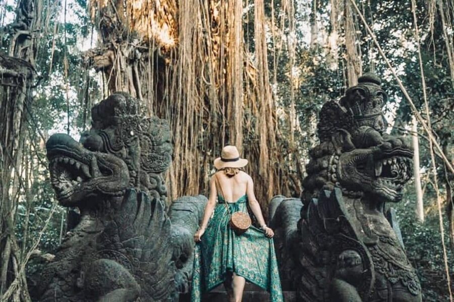 Bali: Ubud Monkey Forest, Waterfall, and Rice Terrace Tour - Tegenungan Waterfall: swimming time (and why your clothes matter)