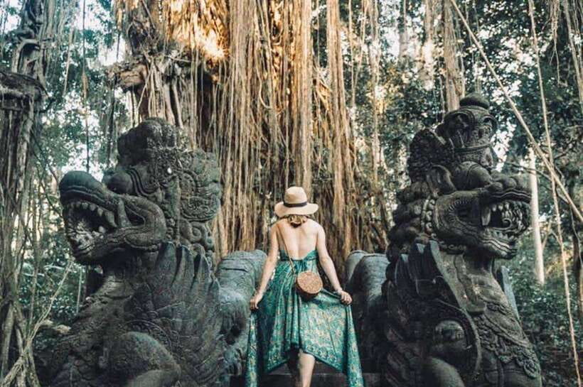 Bali: Ubud Monkey Forest, Waterfall, and Rice Terrace Tour - Jungle Swing mention: ask how it fits your exact schedule