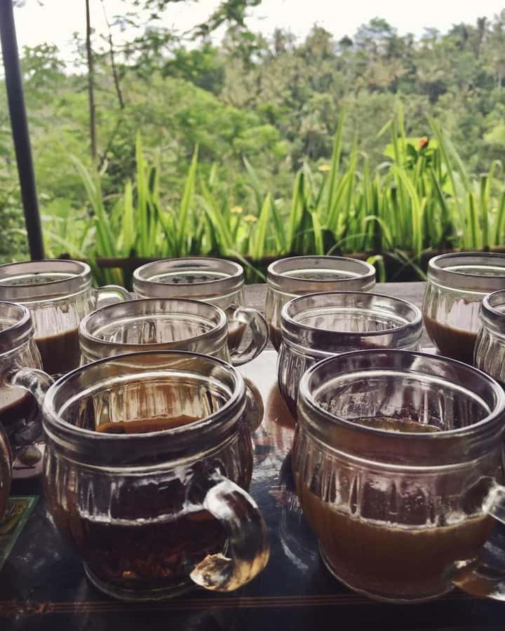 Bali ubud : monkey forest, waterfall , temple - A Small-Group Ubud Day That Pairs Nature and Rituals
