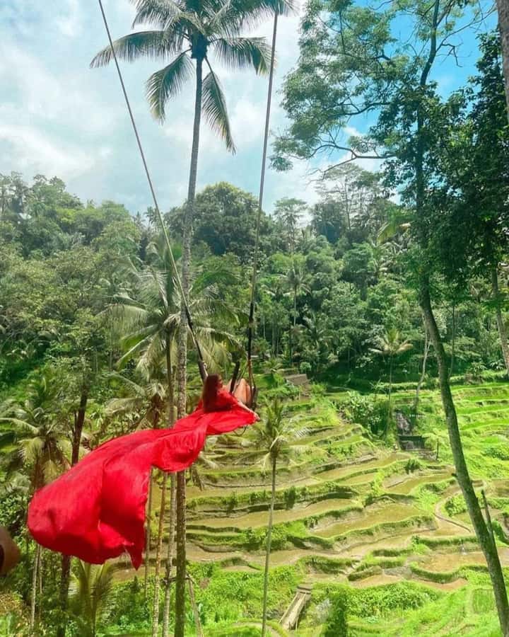 Bali ubud : monkey forest, waterfall , temple - Coffee Plantation Stop and Luwak Coffee: The Unusual Story