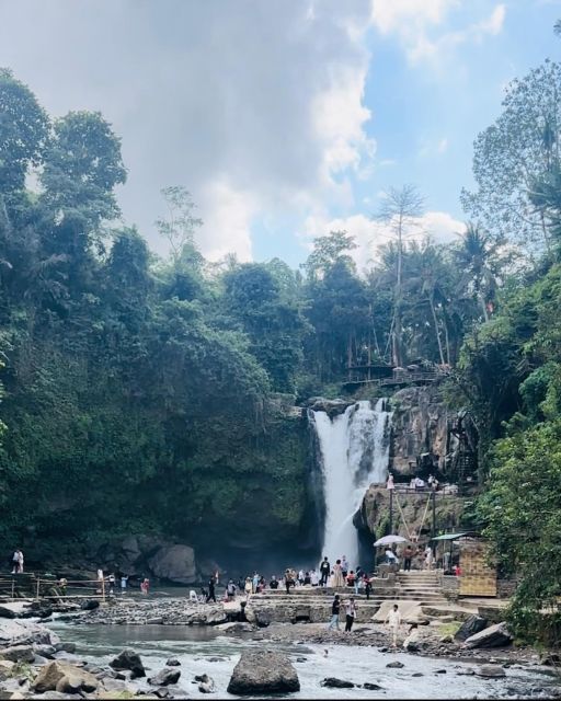 Bali ubud : monkey forest, waterfall , temple - Tegalalang Rice Terrace and Swing Views: Why This Scene Feels So Classic