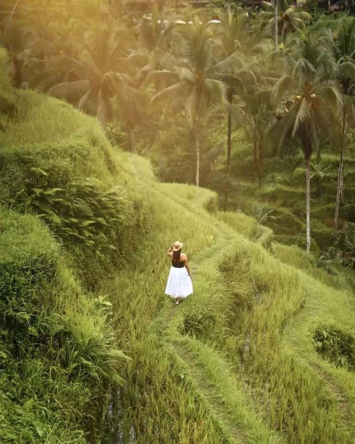 Bali ubud : monkey forest, waterfall , temple - Tirta Empul Temple: The 10th-Century Holy Spring Cleansing Rituals