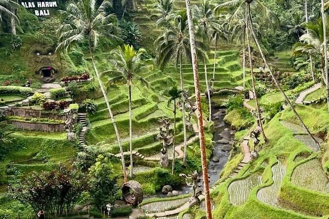 Bali Ubud Private Costomized Tour - Explore Bali your way - Stop 4: Mas Carving Center for Crafts, Gifts, and Real Workshop Vibes