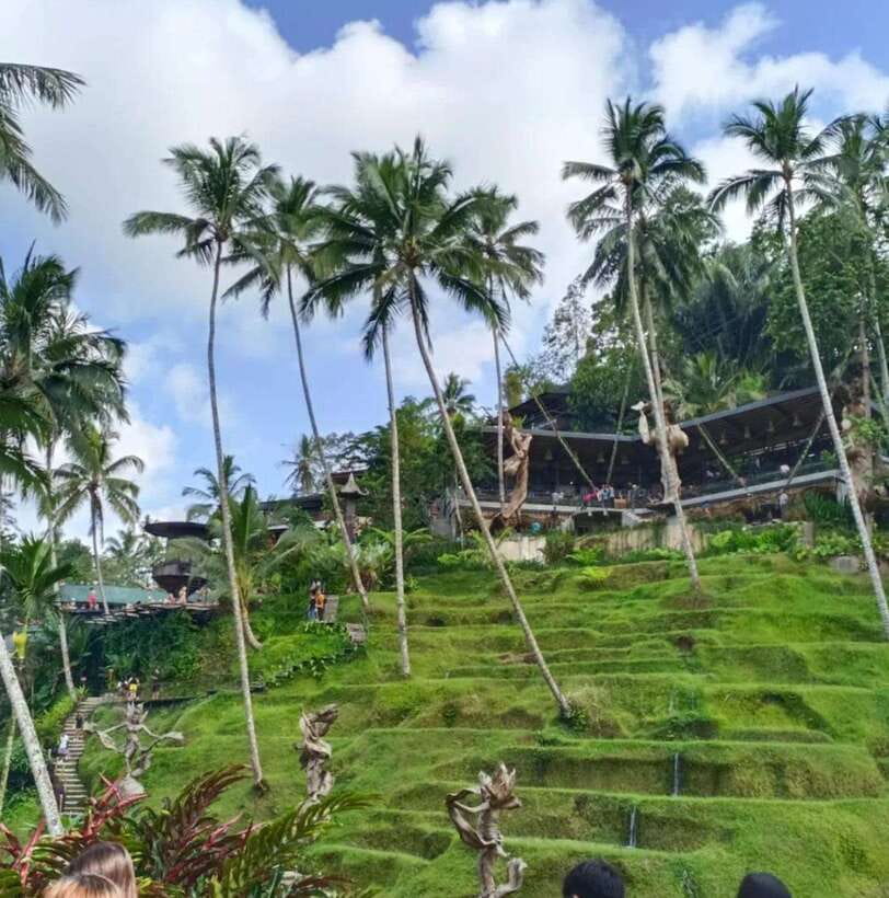 Bali Ubud : Private Full/ Half Day Tour, Optional Activities - Key Things to Know Before You Go