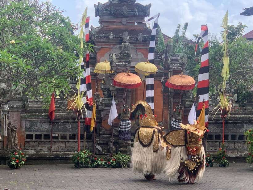 Bali Ubud : Private Full/ Half Day Tour, Optional Activities - Price and What You’re Actually Paying For