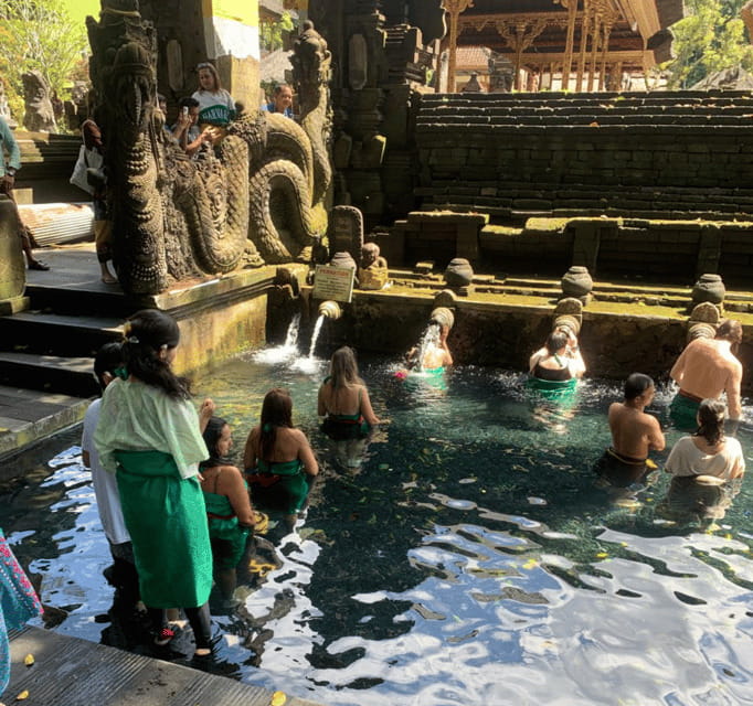 Bali Ubud : Private Full/ Half Day Tour, Optional Activities - Stop-by-Stop: What Each Ubud Option Gives You
