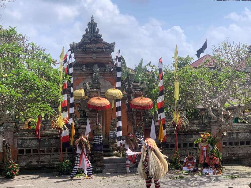 Bali Ubud : Private Full/ Half Day Tour, Optional Activities - Should You Book This Ubud Private Tour?
