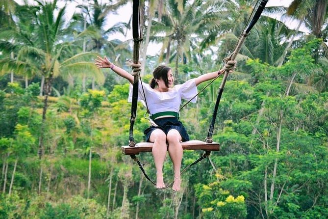 Bali Ubud private Tour with Ubud Bali Driver - FREE WIFI - Price and logistics: what $38 gets you
