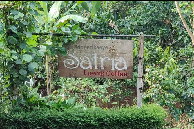 Bali Ubud private Tour with Ubud Bali Driver - FREE WIFI - The Wi-Fi and coffee/tea details that actually matter
