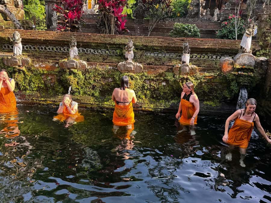 Bali: Ubud Spiritual Cleansing and Meditation Healing Tour - Who Should Book This Ubud Cleansing and Meditation Tour