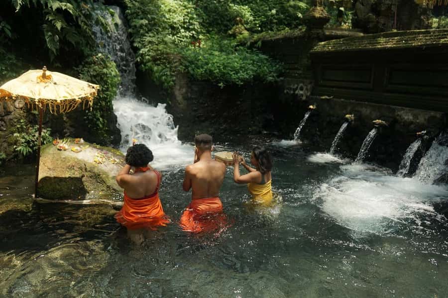 Bali: Ubud Spiritual Cleansing and Meditation Healing Tour - Rice-Field Walking Meditation: Peace You Can Actually Practice