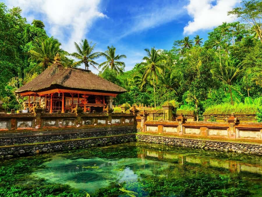 Bali: Ubud Spiritual Journey with purification ceremony. - The vibe: spiritual sites, but with practical pacing