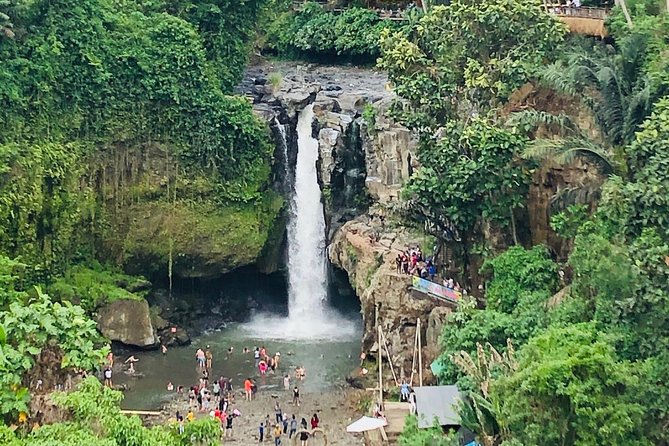 Bali Ubud Tour - Who this Bali Ubud tour suits best