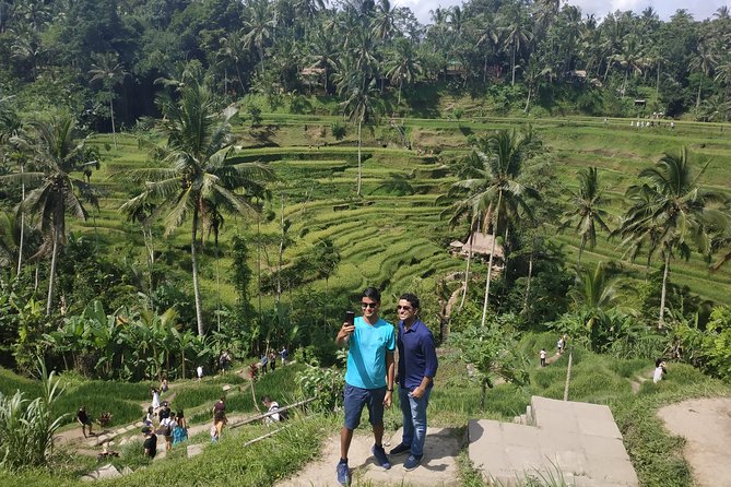 Bali Ubud Tour - Should you book this Ubud tour?