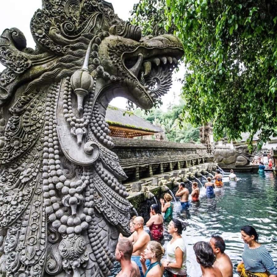 Bali Ubud Tour Best of Ubud Higlight with private Transfers - Key highlights that make this Ubud day work