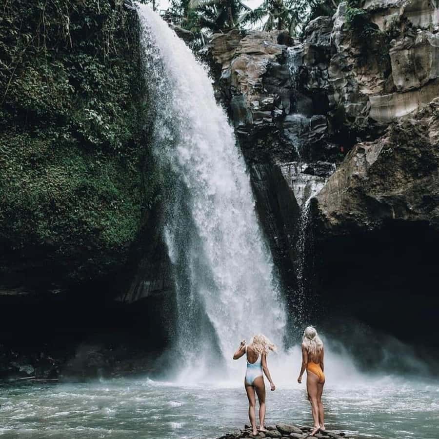 Bali Ubud Tour Best of Ubud Higlight with private Transfers - Coffee tasting at Tegalalang: a short cultural pause