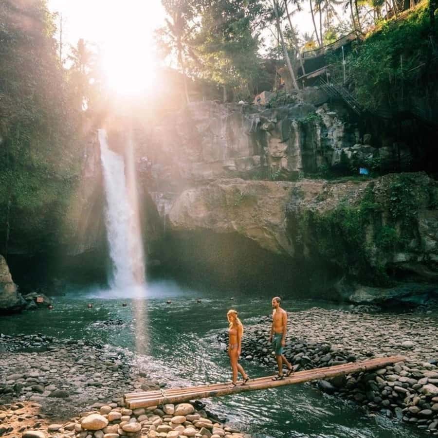 Bali Ubud Tour Best of Ubud Higlight with private Transfers - Lunch in Ubud: a needed reset