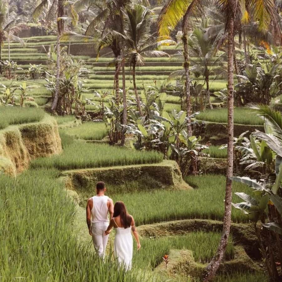 Bali Ubud Tour Best of Ubud Higlight with private Transfers - Pickup, private transfers, and the pace of a 9-hour loop