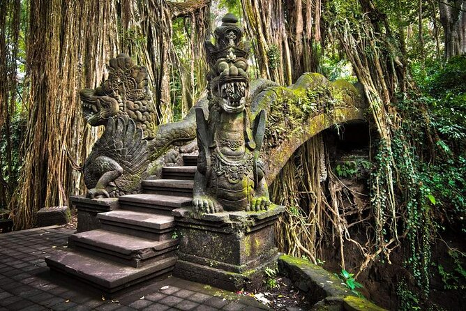 Bali Ubud Tour: Monkey Forest, Waterfall & Rice Terrace - Sacred Monkey Forest Sanctuary: macaques, nutmeg shade, and simple rules