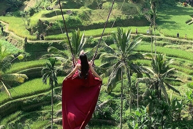 Bali Ubud Tour Monkey Forest, Waterfall, Temple & Rice Terrace - Ubud’s best-known sights, arranged into one practical day