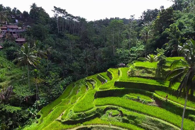 Bali Ubud Tour - Your driver matters: Susila’s English and flexibility