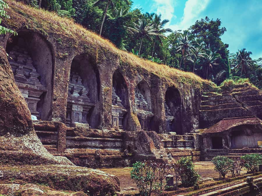 Bali: Ubud Traditional Balinese Purification - Price and value: what $29 really covers