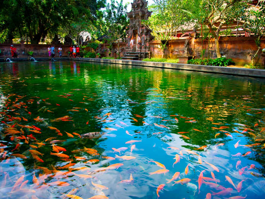 Bali: Ubud Traditional Balinese Purification - Quick packing tips that make melukat easier
