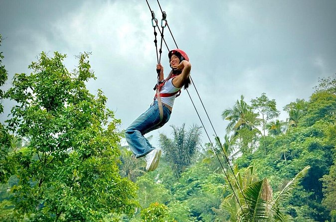 Bali Ubud Zipline, Monkey Forest and Waterfall Adventure - Rice-terrace views between activities: why the scenic time matters