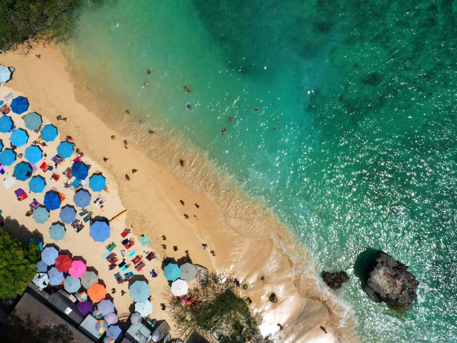 Bali: Uluwatu Temple, Kecak Dance, and Jimbaran Dinner Tour - Key highlights at a glance