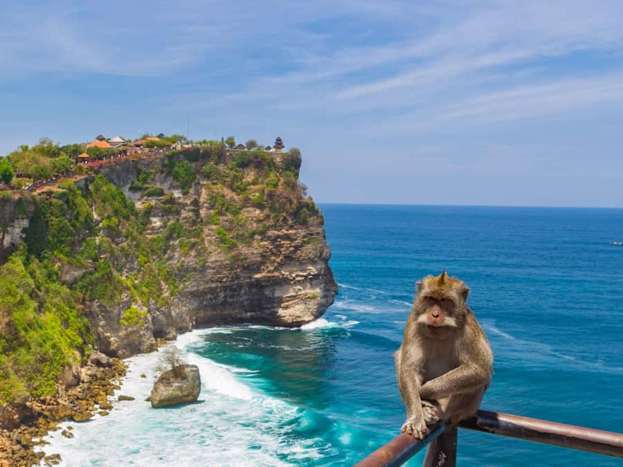 Bali: Uluwatu Temple, Kecak Dance, and Jimbaran Dinner Tour - Who this tour fits best (and who should reconsider)