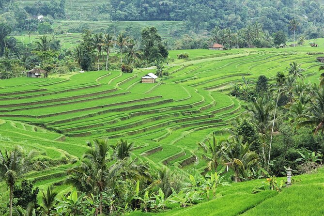 Bali UNESCO Sites: Water Temples and Jatiluwih Rice Terrace Tour - Optional stops when time permits: choose your mood, not every checkbox