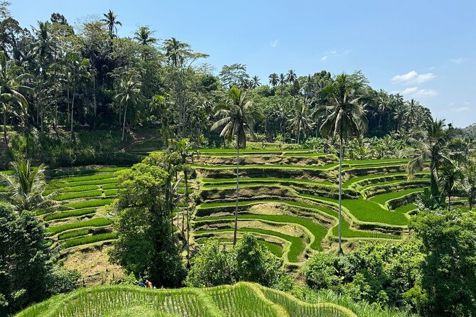 Bali Volcano & Ubud Day Tour – Temples, Rice Terraces & Lunch - Why This Bali Volcano & Ubud Day Tour Works as a One-Day Plan