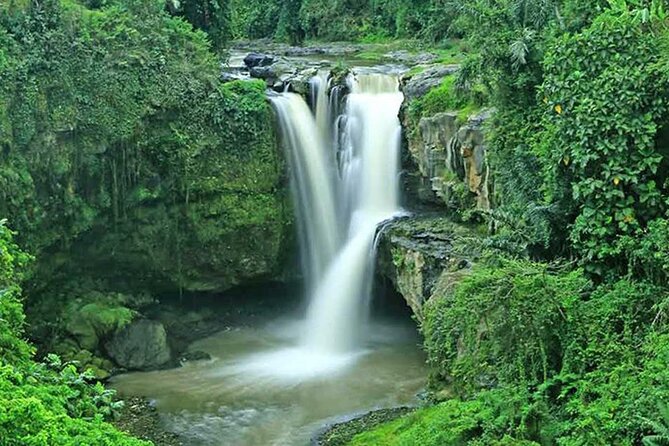 Bali Volcano & Ubud Day Tour – Temples, Rice Terraces & Lunch - Price and Value: What You Really Get for $80 Per Person