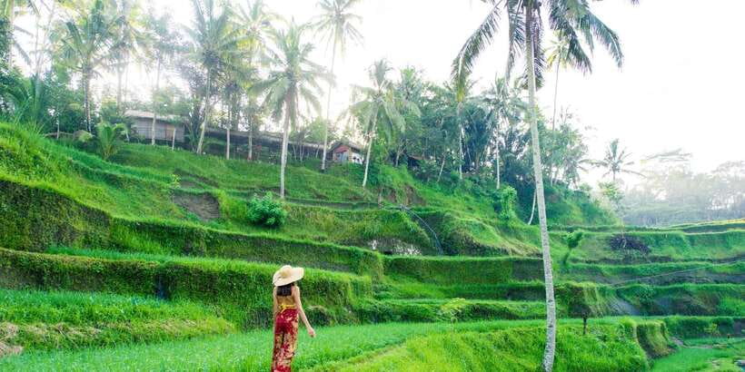 Bali: Waterfall and Rice Terrace Private Day Trip - Kanto Lampo Waterfall: Rocks, a Shallow Pool, and a Potential Swim
