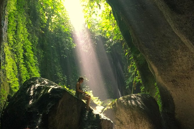 Bali Waterfalls and Temples Tour - Stop 1: Temesi Waterfall and the joy of going off the main drag