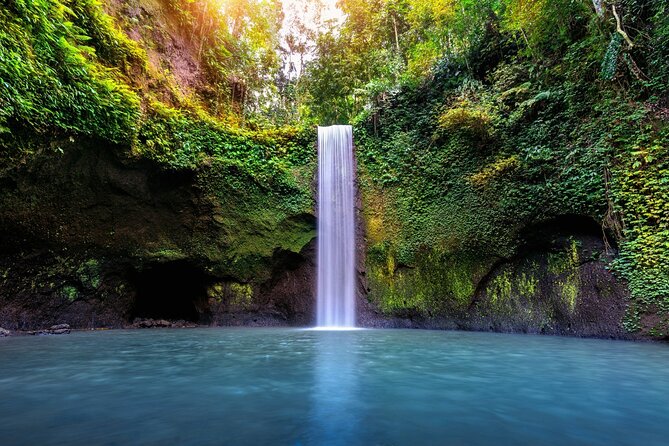 Bali Waterfalls Private Day Tour - Price and value: why $43.58 per person can make sense