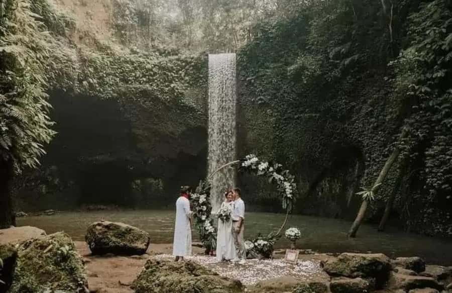 Bali Waterfalls Private Day Tour - The Health and Age Rules You Should Take Seriously