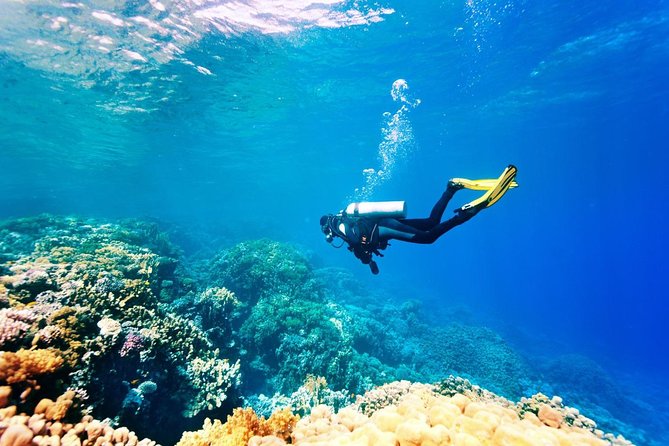 Bali Watersport Activities - Great Discount Package - Choosing your activities: parasailing, jet skis, snorkeling, and more