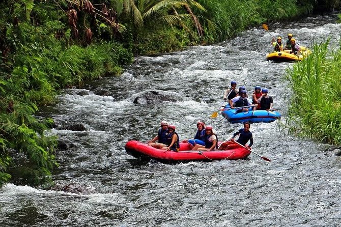 Bali White Water Rafting at Telaga Waja River - Telaga Waja: A Jungle River Day from Ubud That Feels Like a Real Adventure