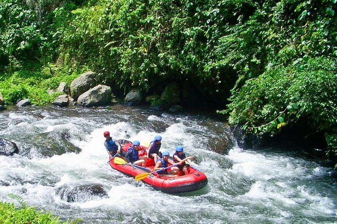 Bali White Water Rafting at Telaga Waja River - Price Check: Is $39.39 Worth It in Bali?